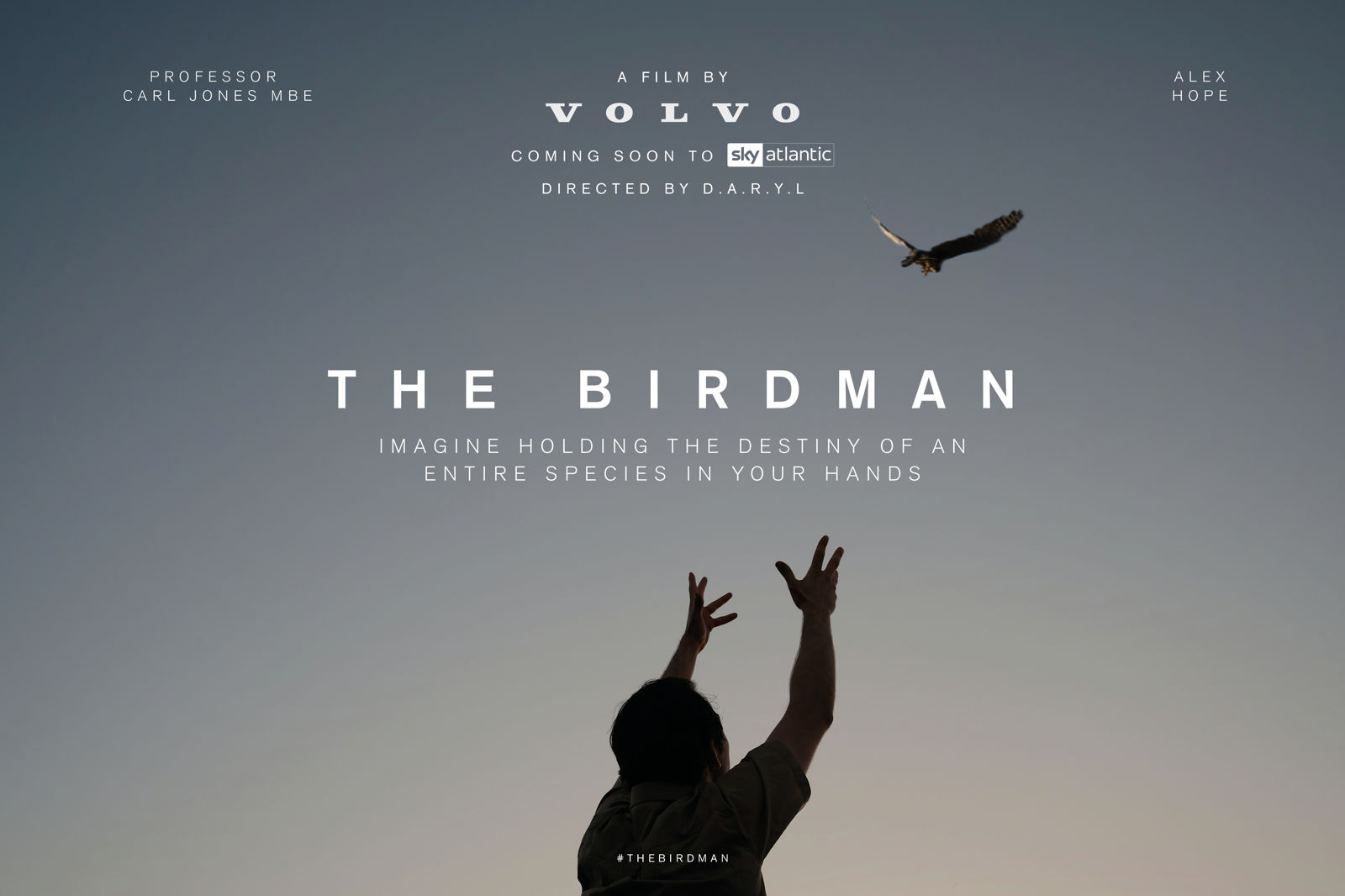 volvo-birdman-posters2